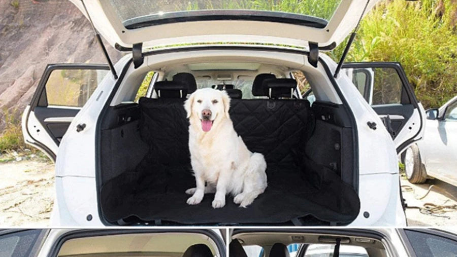 Dog sitting on a car bench seat cover in the back of a vehicle with open doors.